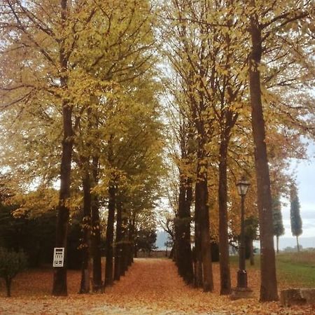 Relais Villa Gozzi B&B 아르쿠그나노 외부 사진