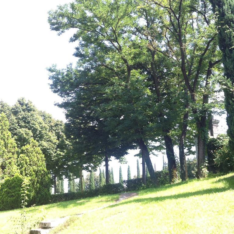 Relais Villa Gozzi B&B 아르쿠그나노 외부 사진
