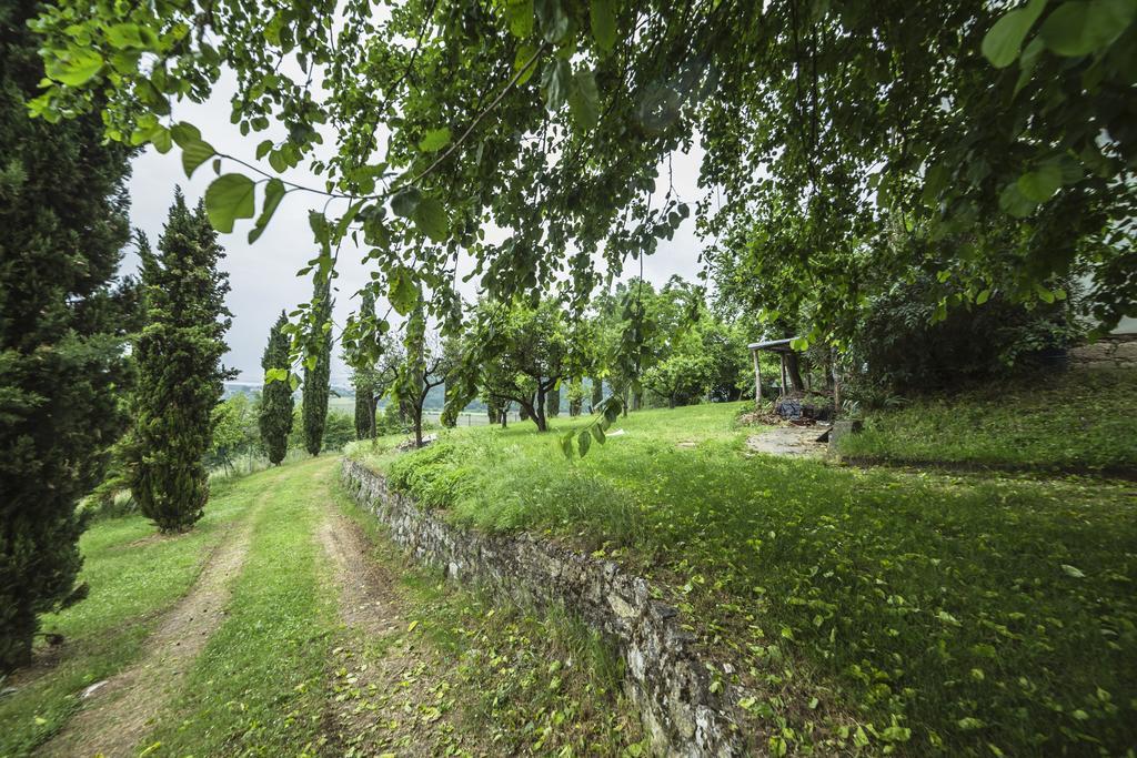 Relais Villa Gozzi B&B 아르쿠그나노 외부 사진