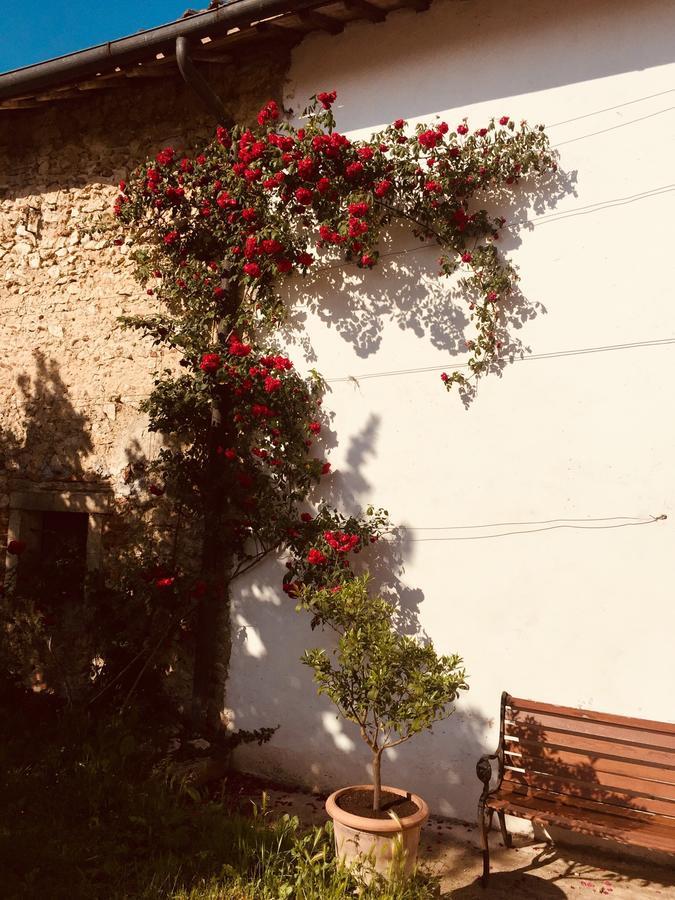 Relais Villa Gozzi B&B 아르쿠그나노 외부 사진