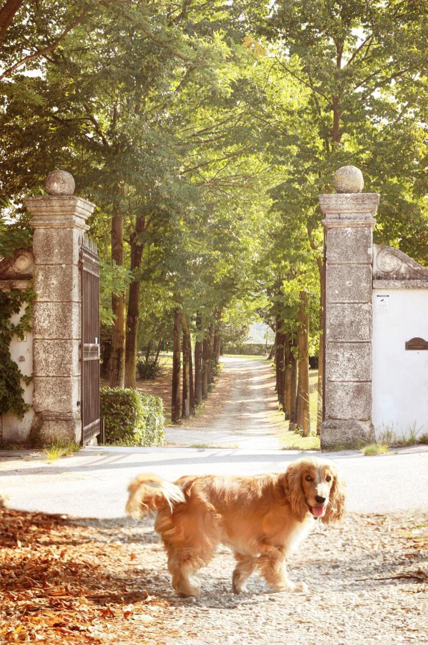 Relais Villa Gozzi B&B 아르쿠그나노 외부 사진